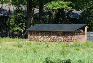 zonnepanelen