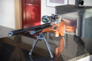 Daystate Wolverine 303