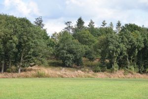 herwonnen natuur