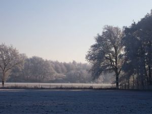 Rechten voor behoud van een bos