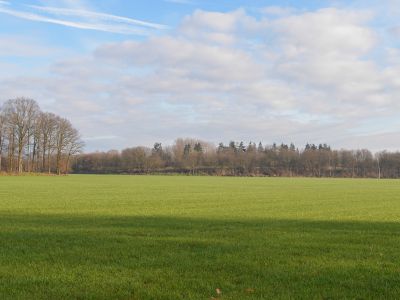 8 hectare bos gaat weg voor zonnepanelen