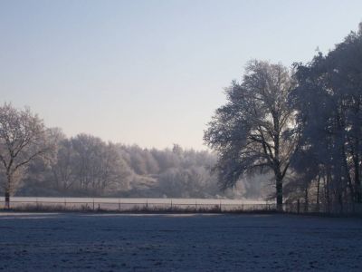 Rechten voor behoud van een bos